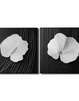 Multicolor Petal Poise Wall Canvas Set - Artwallpainting
